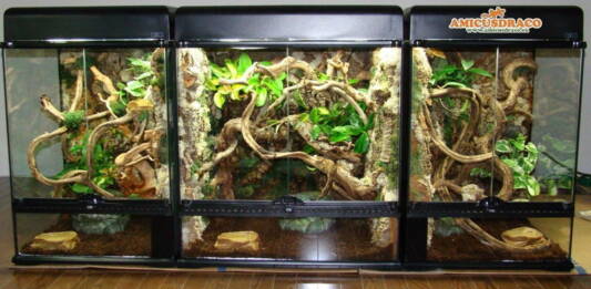 Jakie dekoracje wykorzystać przy urządzeniu terrarium?